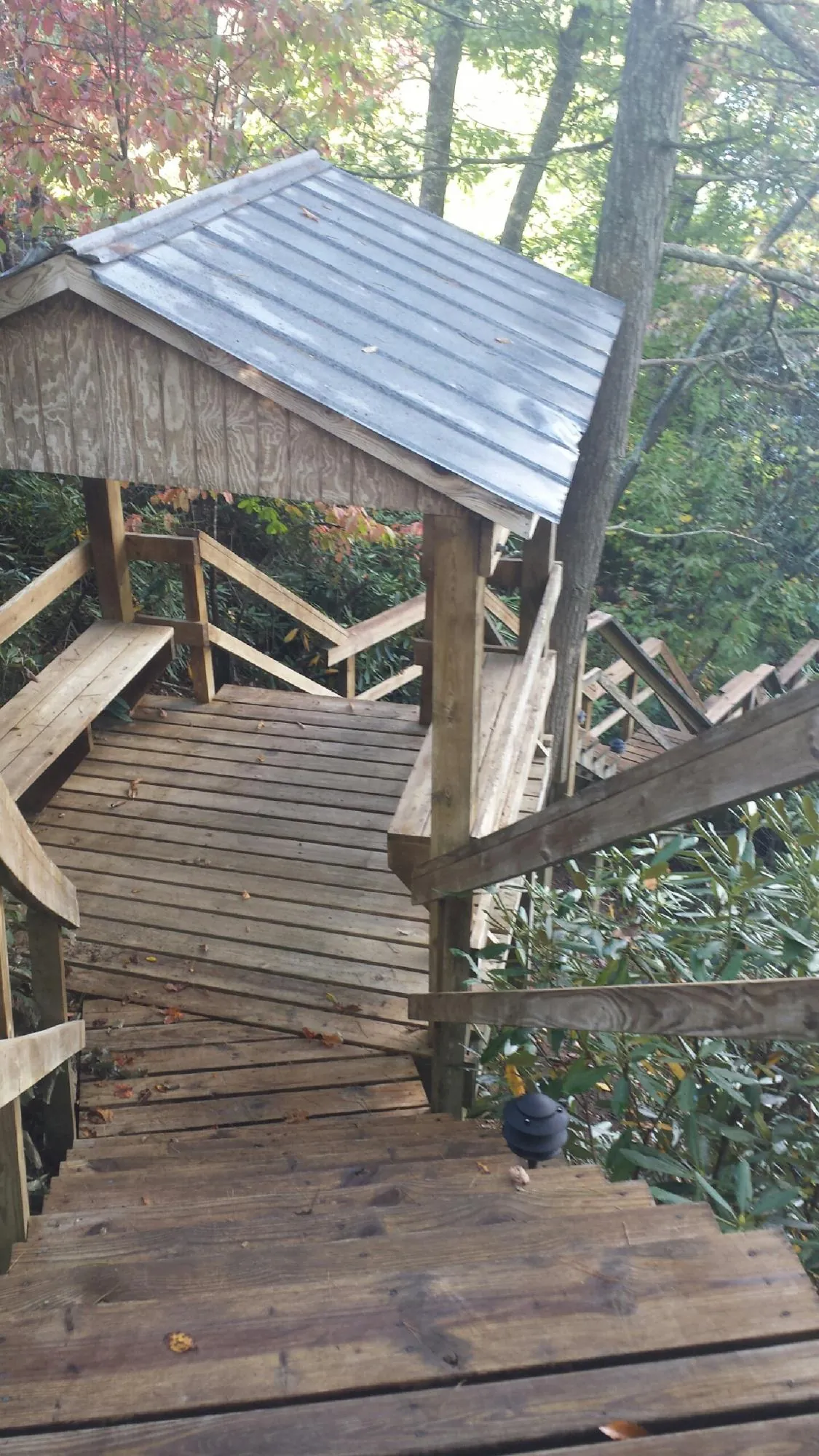 Metal roofed shelter over wooden steps on a wooded walkway — Skylight Repair & Installation work by our crew in Millers Creek