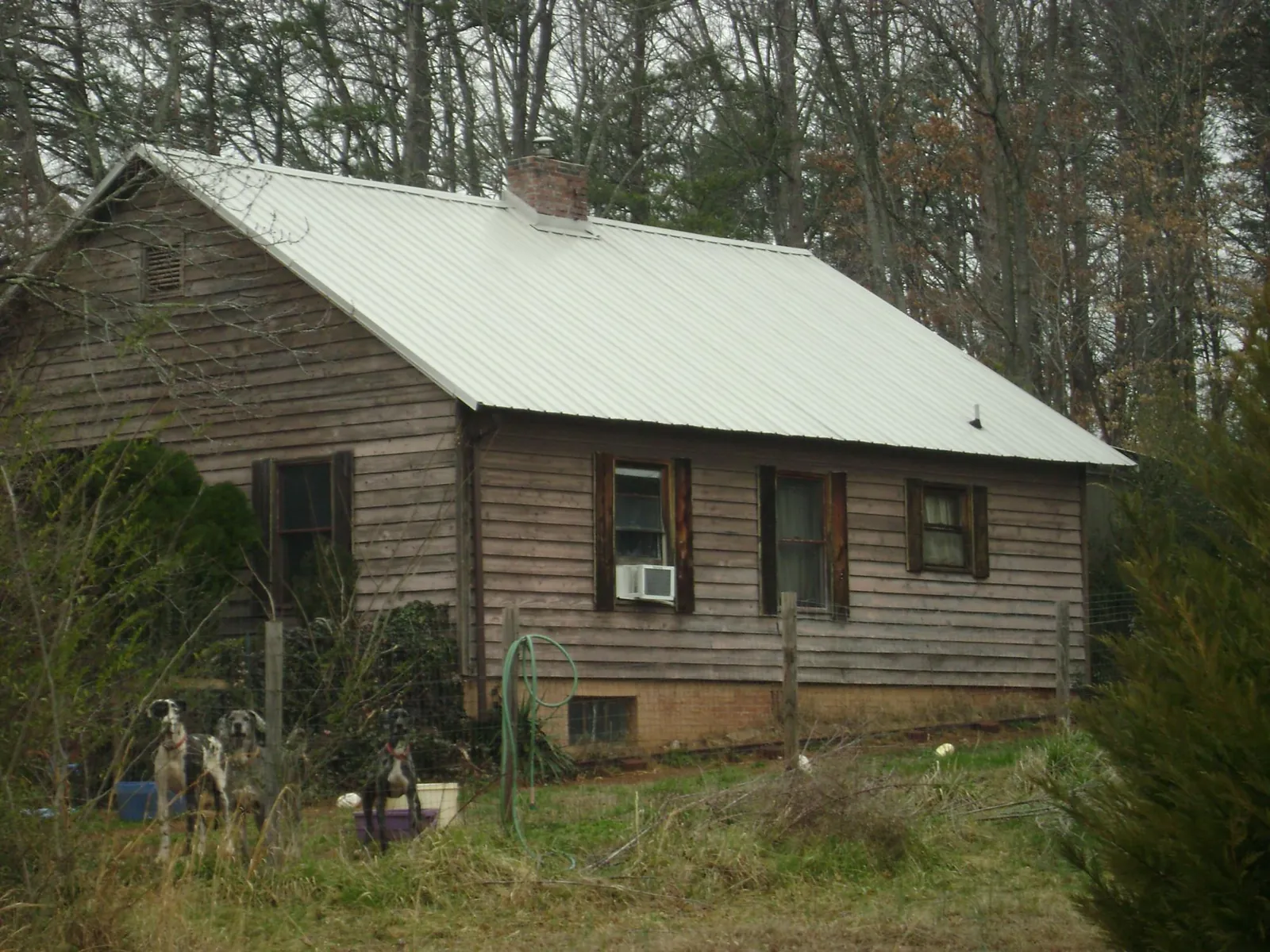 White metal roof on an old wood sided farmhouse, from a Asphalt Shingle Roof Repair job in Millers Creek